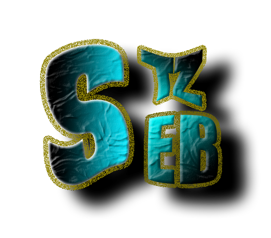 FlashpersoSEB